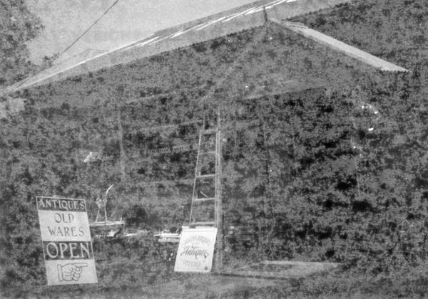 album Film from June Morrison's camera